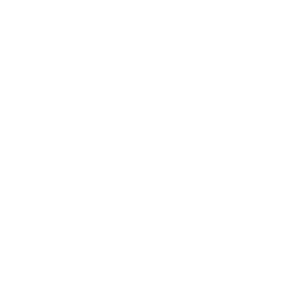 ServerMaster logo